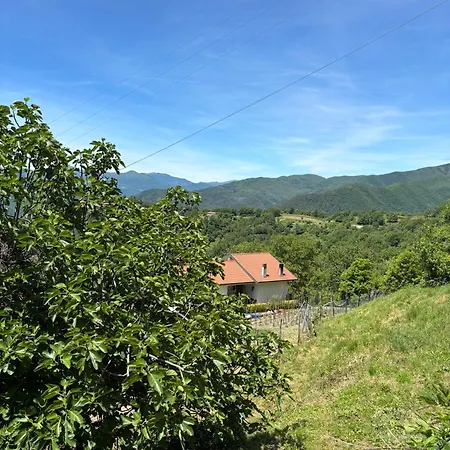 Basilico With Stunnung Views Apartment Scogna Superiore