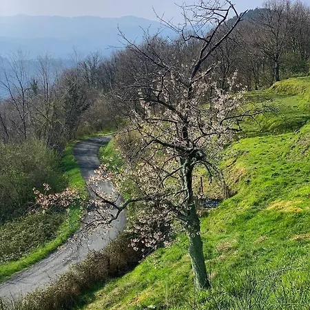 Basilico With Stunnung Views