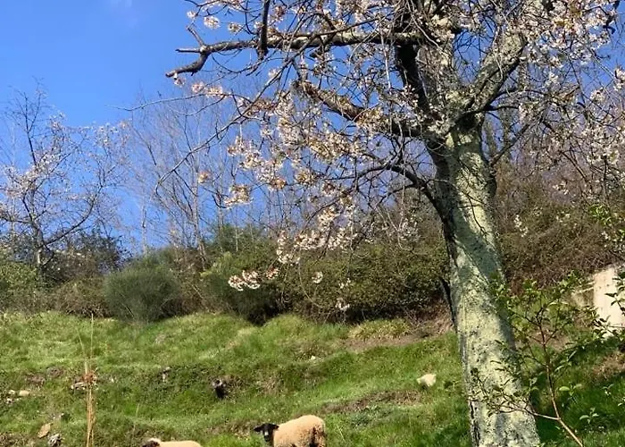 Basilico With Stunnung Views アパート *